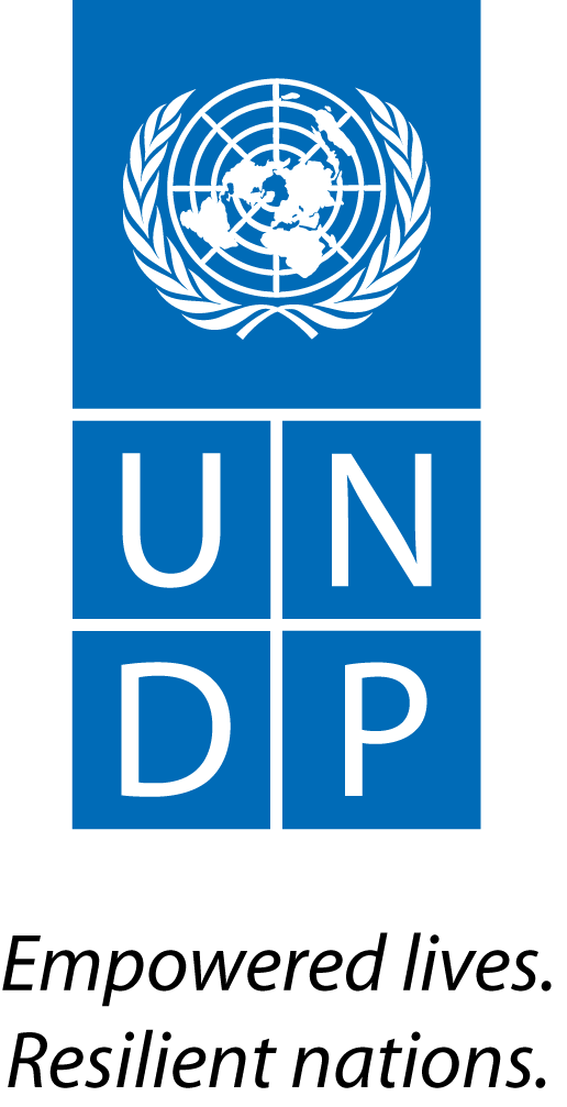 UNDP-Logo