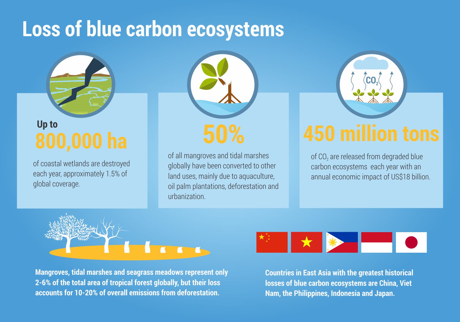 Frontiers  Tropical blue carbon: solutions and perspectives for