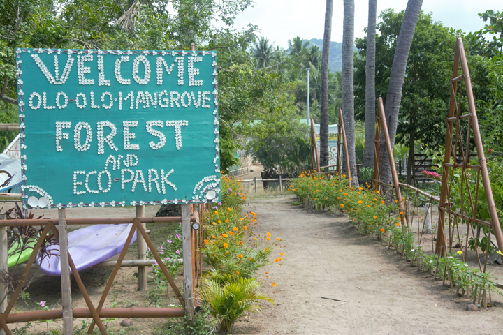 Olo-olo Mangrove Forest and EcoPark: A green space in small Batangas town